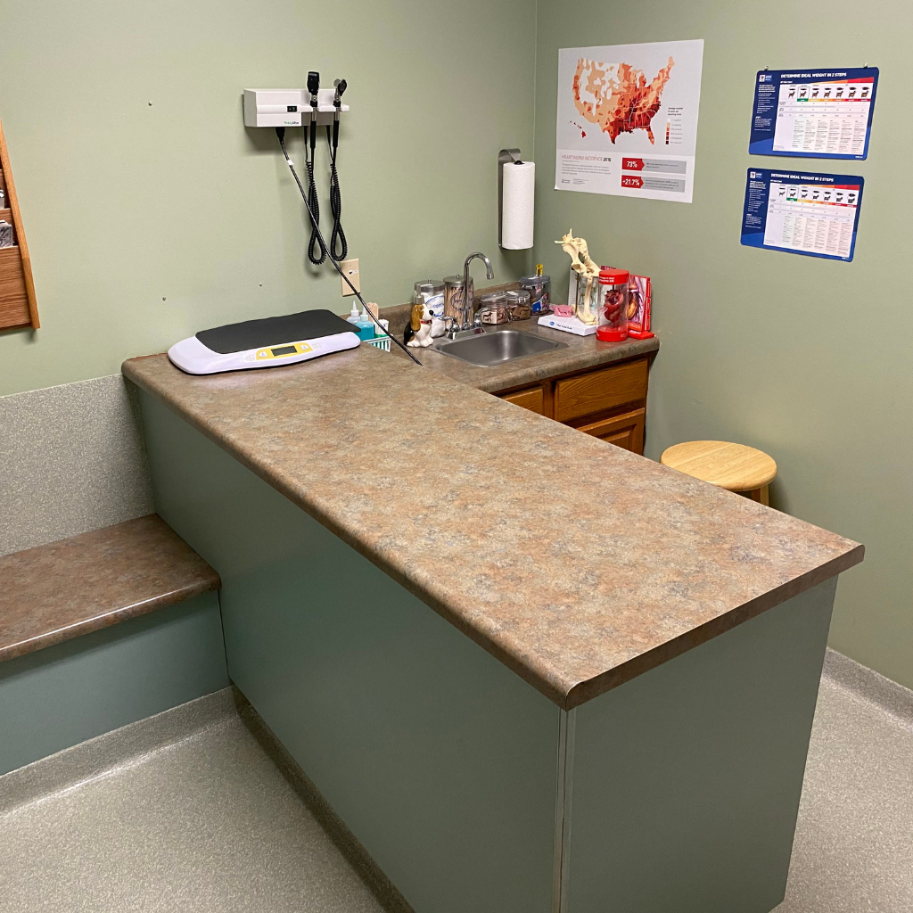 All Creatures Animal Hospital medical care room