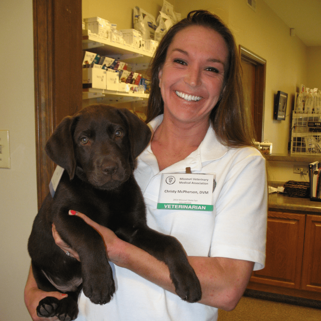 Best Veterinary Hospital In Columbia, MO All Creatures AH